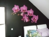 lipdukas-klijuotas-nat-dazytos-sienos-orchidejos